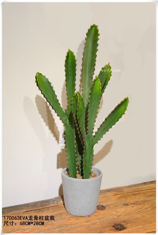 仿真扁仙人掌盆景 仿真兔儿仙人掌盆栽室内家居微景观装饰