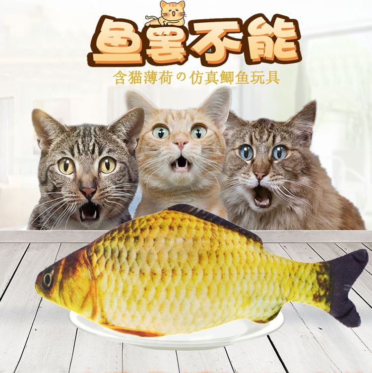 宠物互动逗猫玩具 抖音猫薄荷鱼抱枕猫咪用品3d仿真鲫鱼现货批发