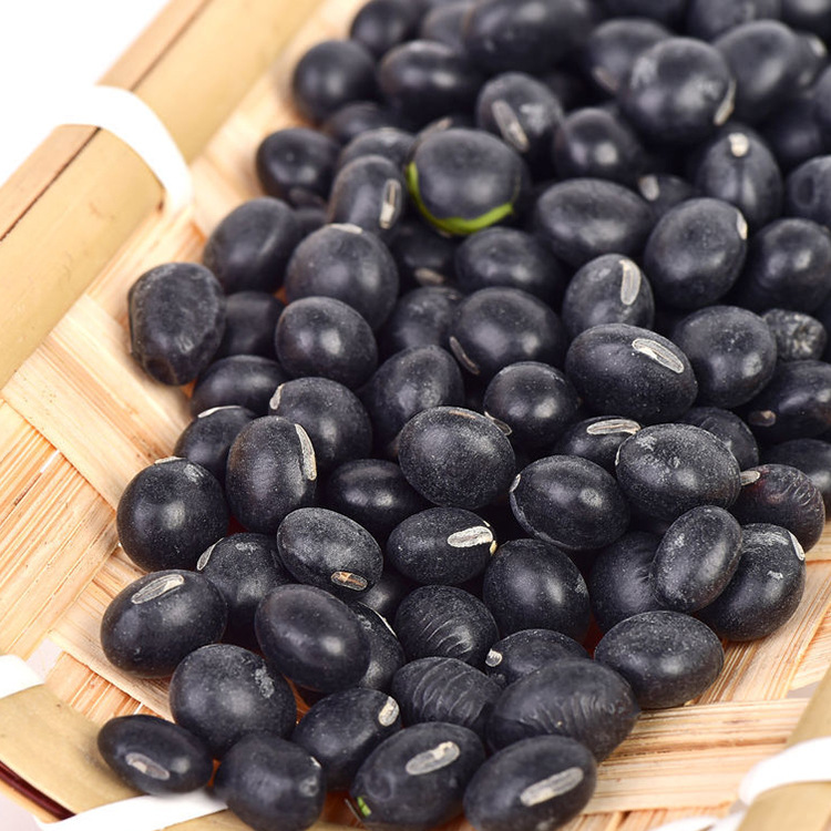 1cm规格可定制包装 丹波黑豆 优良豆类 散装黑豆 食用黑豆