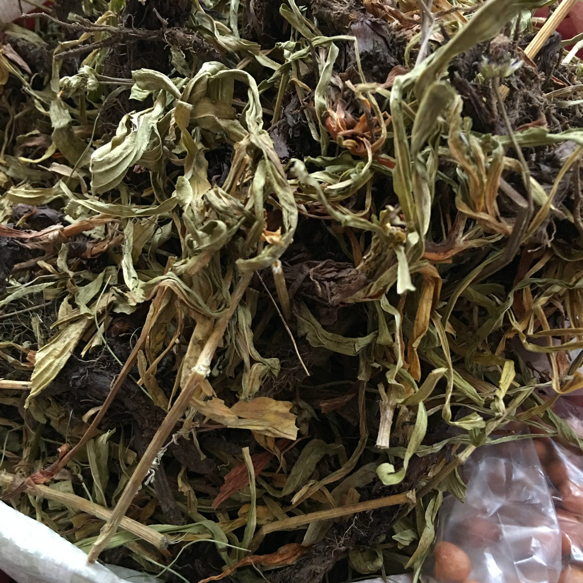 批发甘松 香草 中餐火锅卤菜用的好香料 产地直销
