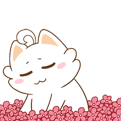 们带着小伙伴们 组队去旅游开年会啦~ 人事美眉说这次旅游项目包括 泡