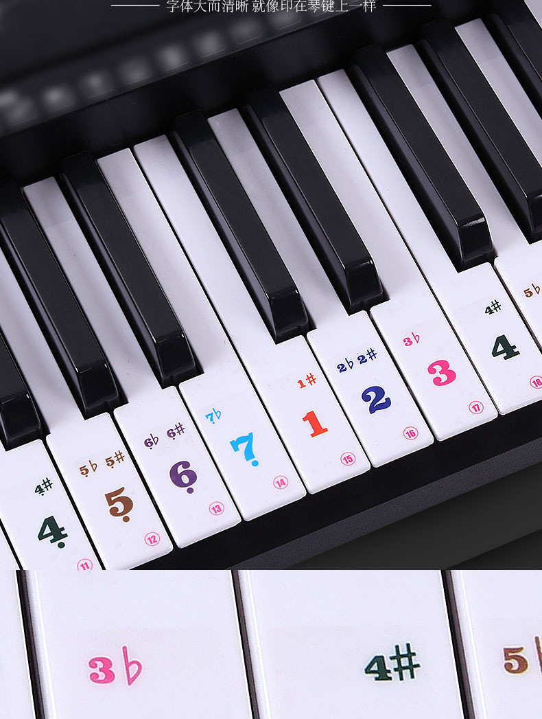 钢琴透明贴纸61键54/49电子琴键盘手卷钢琴键贴简谱五线谱贴纸