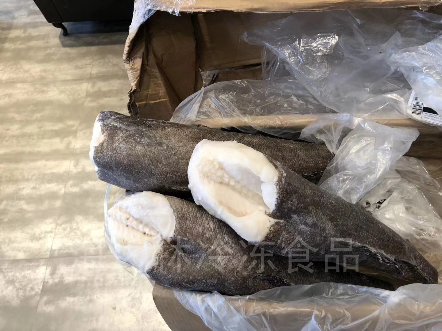 银鳕鱼 整条规格齐全 深海新鲜速冻犬牙鱼