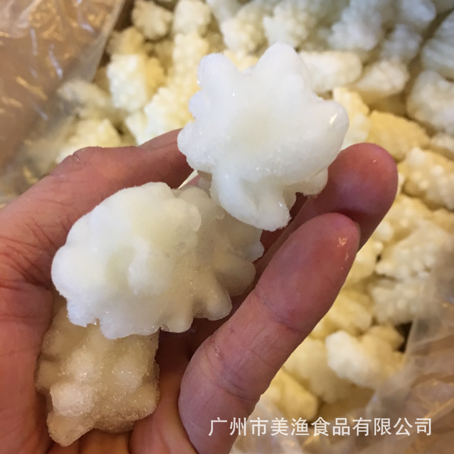 冷冻目鱼花 火锅豆捞墨鱼花经济小炒目鱼花鱿鱼花烧烤整箱5kg/件
