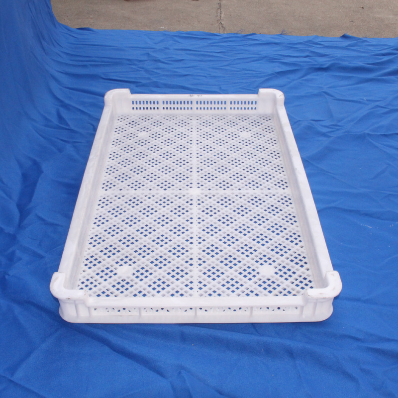 厂家直销 塑料晒筛白色 食品凉果晾晒盘630*490*80 花茶烘干盘