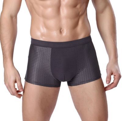 Ice Silk Men's Underwear Mesh U Convex Modal Men's Boxer Briefs Summer Fashion Men's Underpants Wholesale