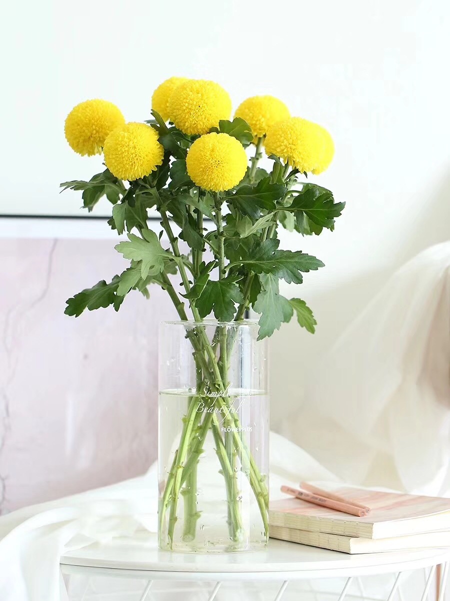 [圆形乒乓菊]批发昆明鲜花 清新秀丽 家居装饰各色 鲜切花