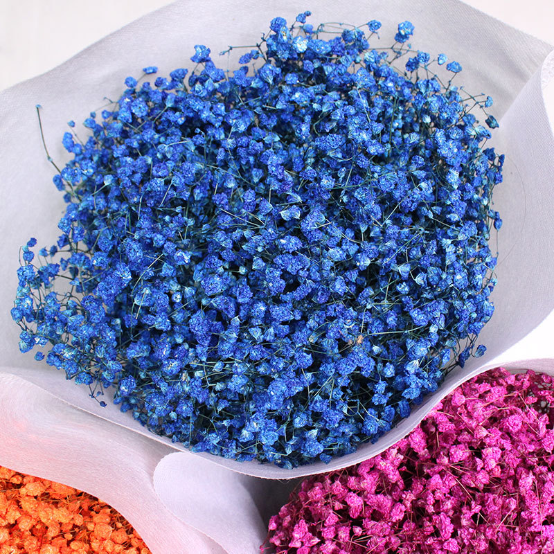 a级满天星天然干花鲜花真花风干植物干花满天星云南厂家批发200克