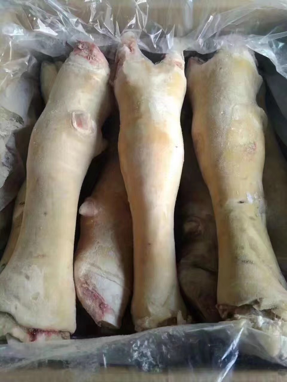 批发牛掌 牛蹄 去骨牛蹄 牛蹄筋 半成品去骨牛蹄 冷链配送