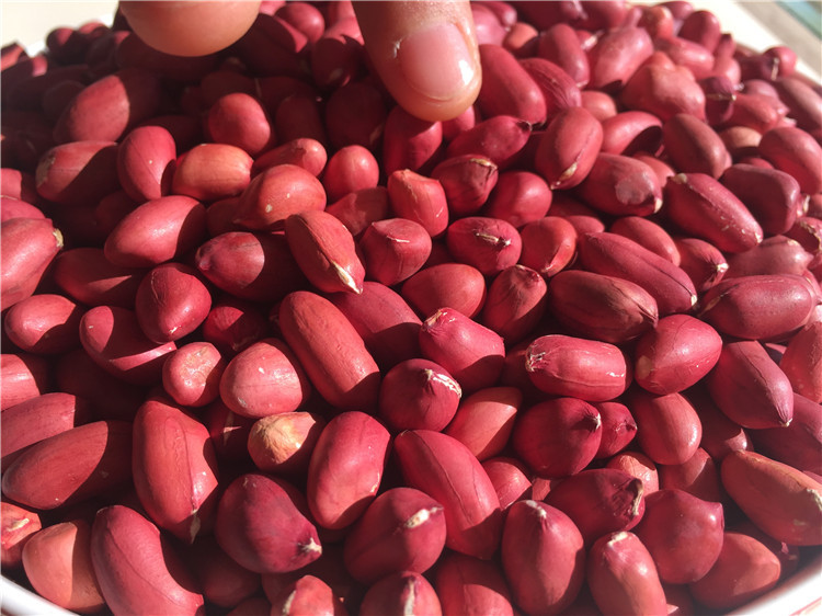 四粒红花生_厂家直销红皮花生米现货供应东北 农家新货粒花生 粗粮