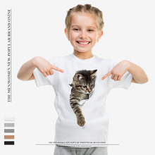 2017夏季新款儿童圆领短袖 创意破损猫咪印花T恤 欧美风 一件代发