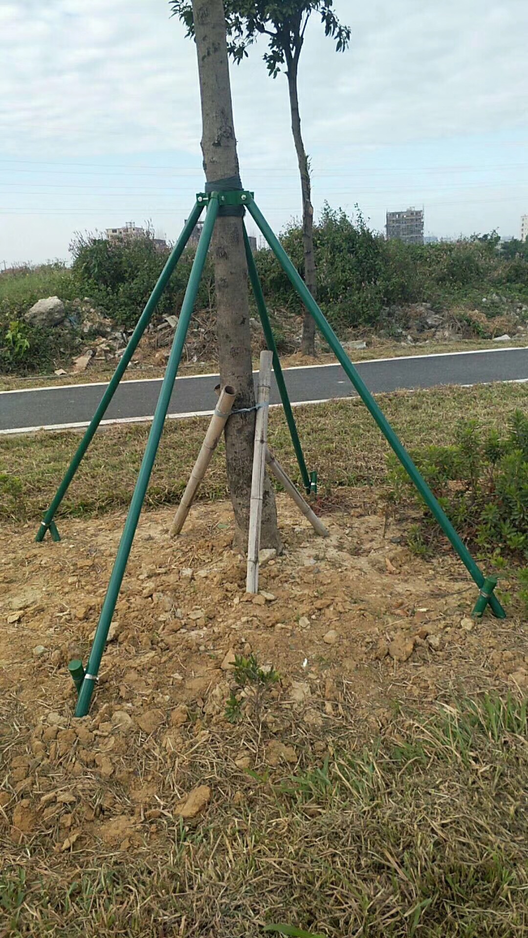 镀锌管树木绿化支撑杆 苗木支撑架 园林景观树木支撑 厂家直销