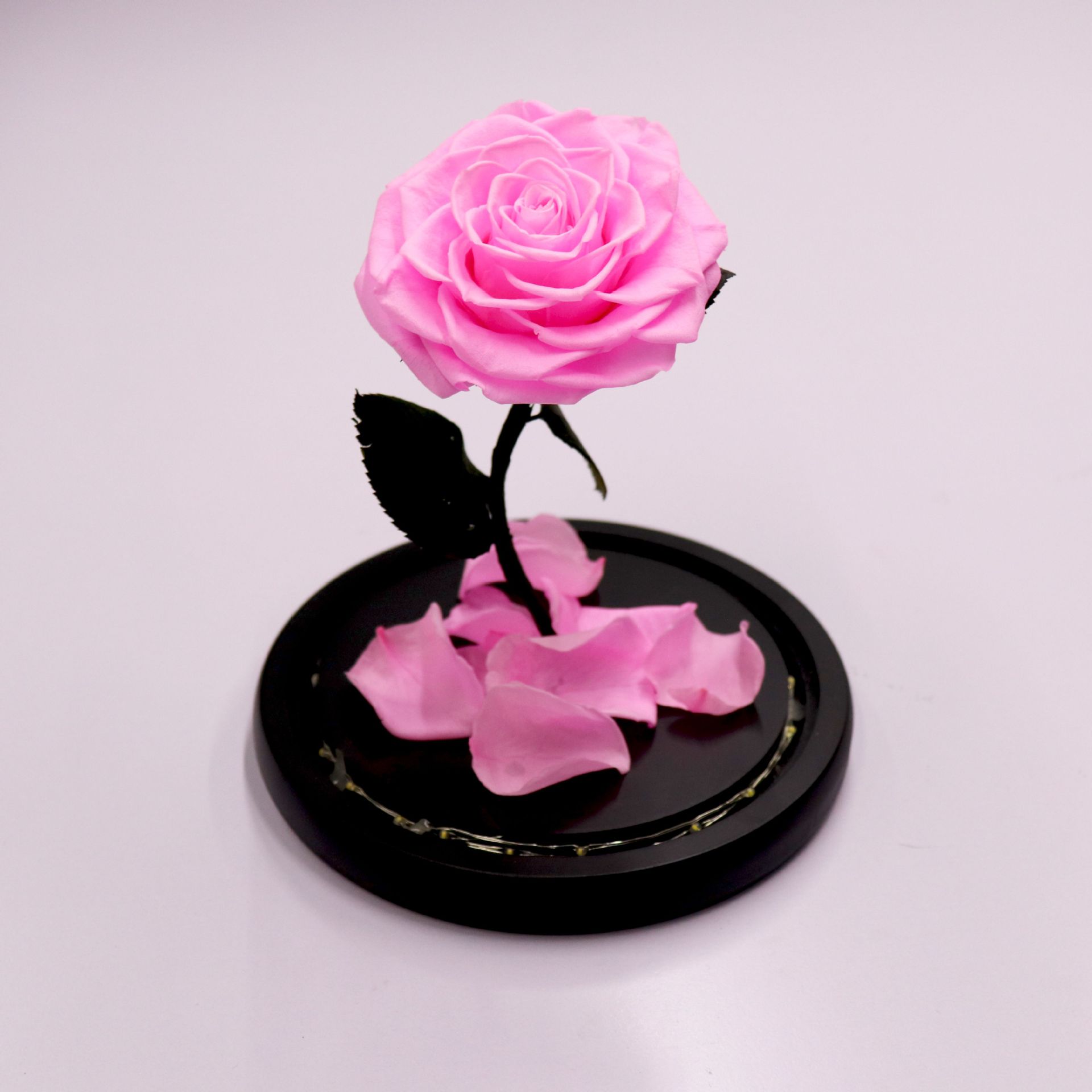 槿梦缘永生花玻璃罩小王子保鲜花微景观带灯七夕情人节礼品厂家批