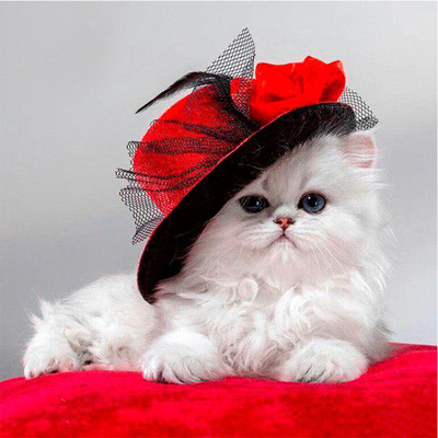 新款5d十字绣礼帽猫公主diy钻石画工厂直销 外贸专供wish 速卖通