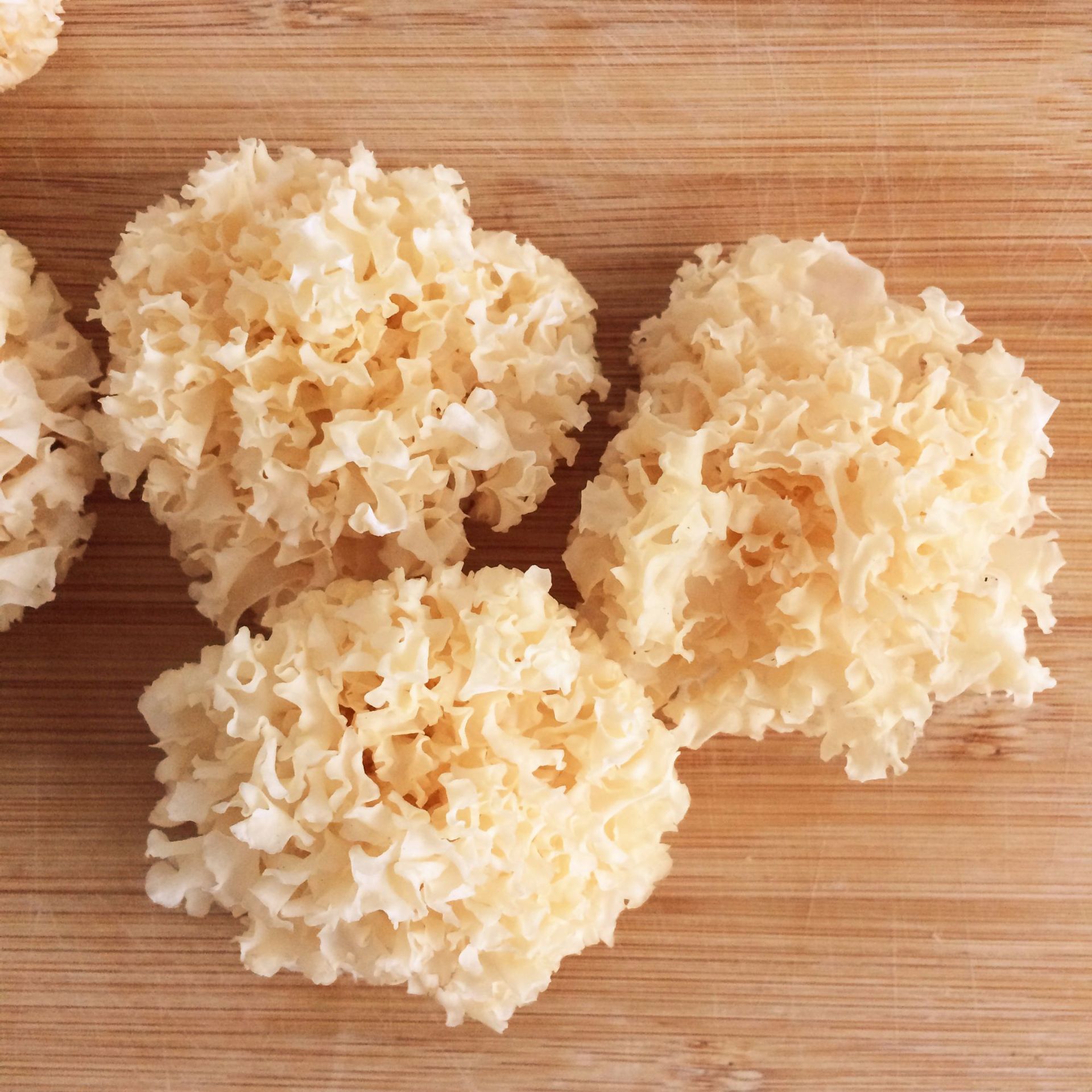 古田银耳椴木银耳散装500g批发 白木耳干货食用菌厂家供应可代发