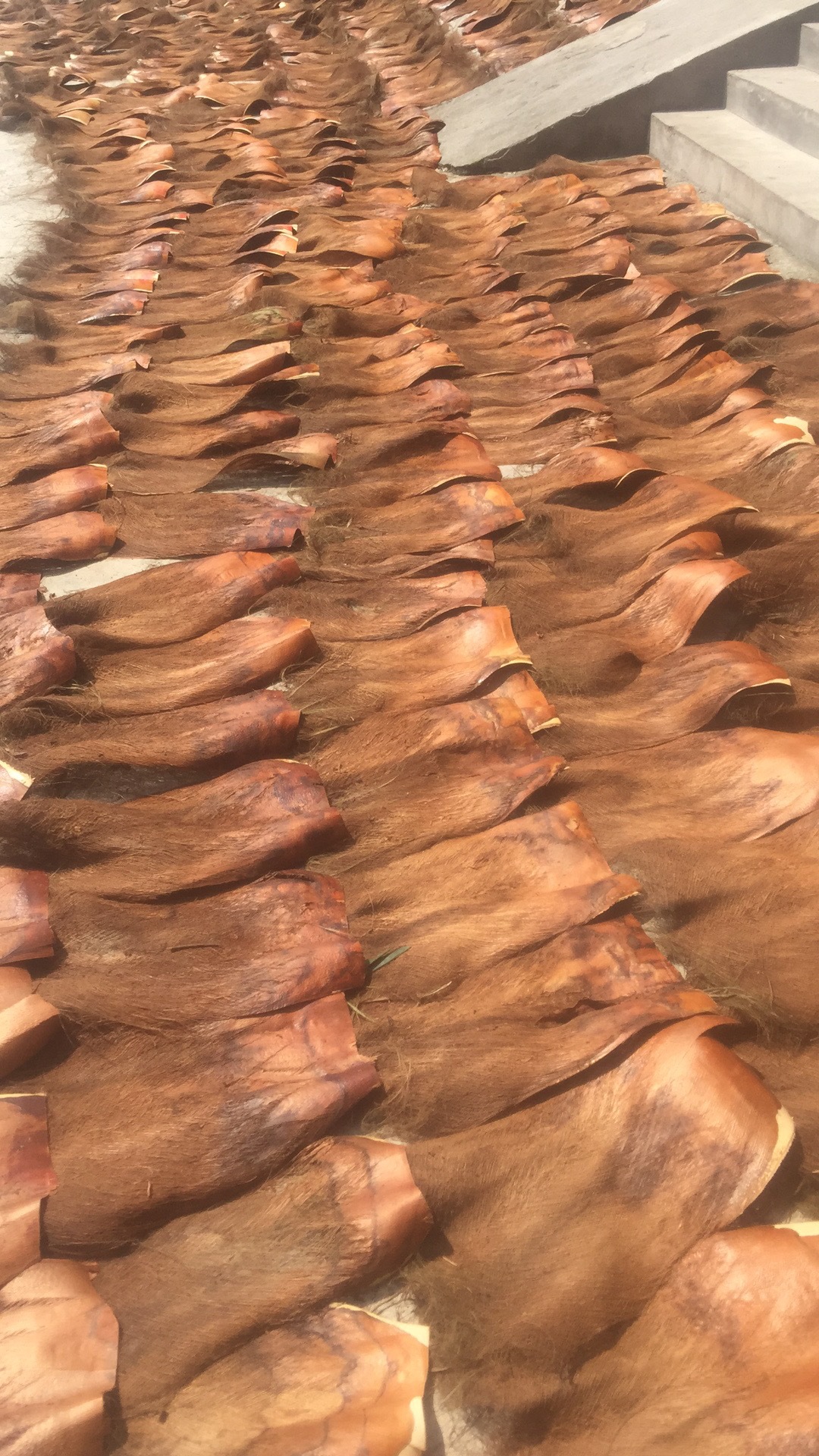 棕衣复古家居正宗棕榈棒棕皮棕片棕树皮棕丝花盆绿植盆栽用无骨