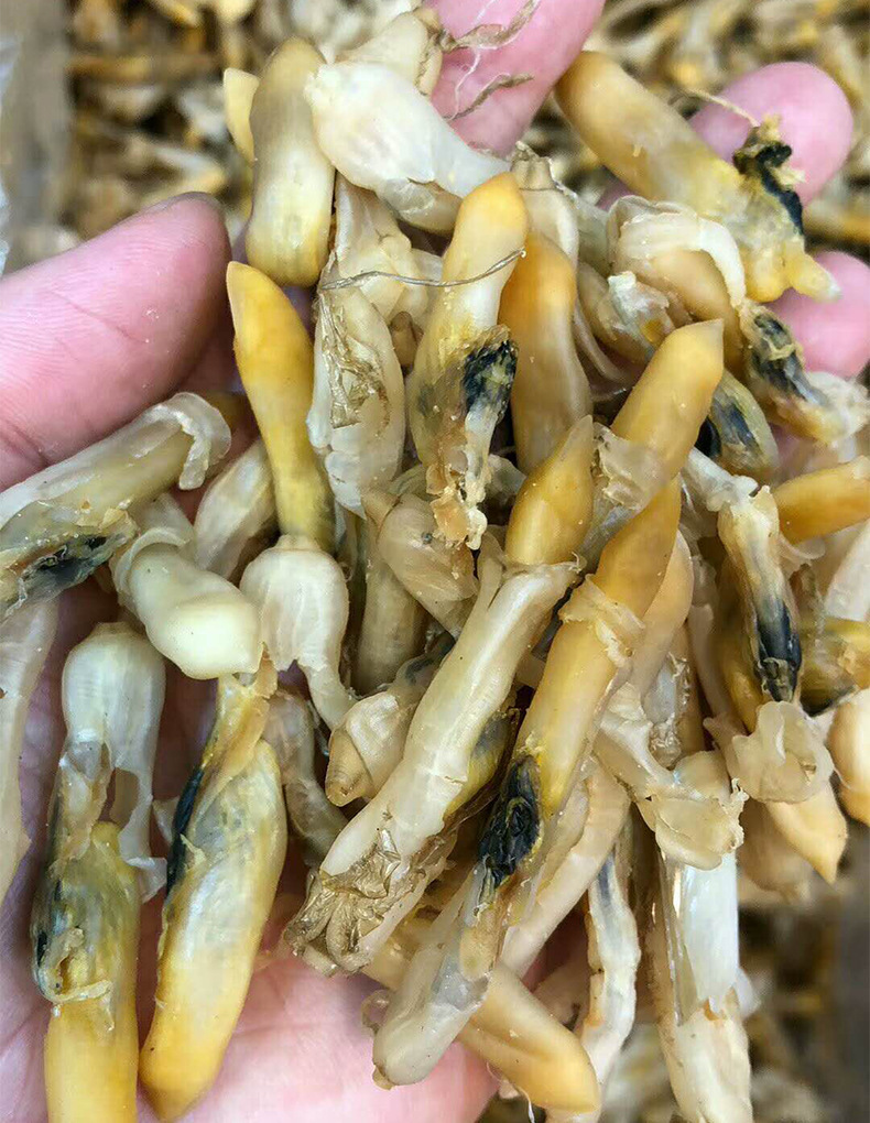 蛏干连云港特产原味蛏子干 无沙蛏子 淡干生晒 肉质肥厚海鲜干货