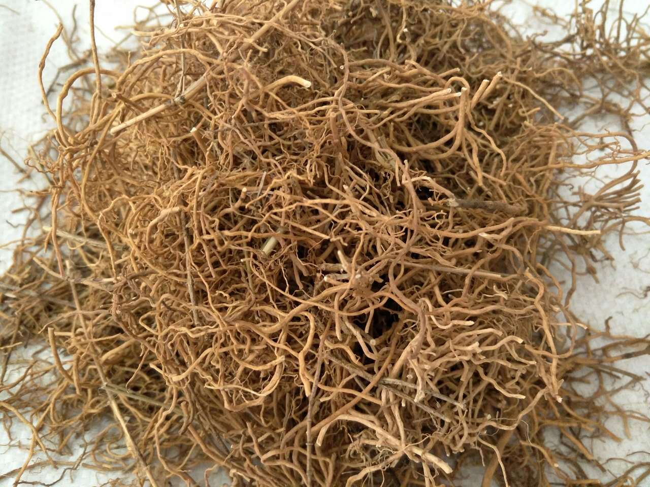 包邮 飒枫 中药材 徐长卿 代加工徐长青粉 厂家直销 量大从优