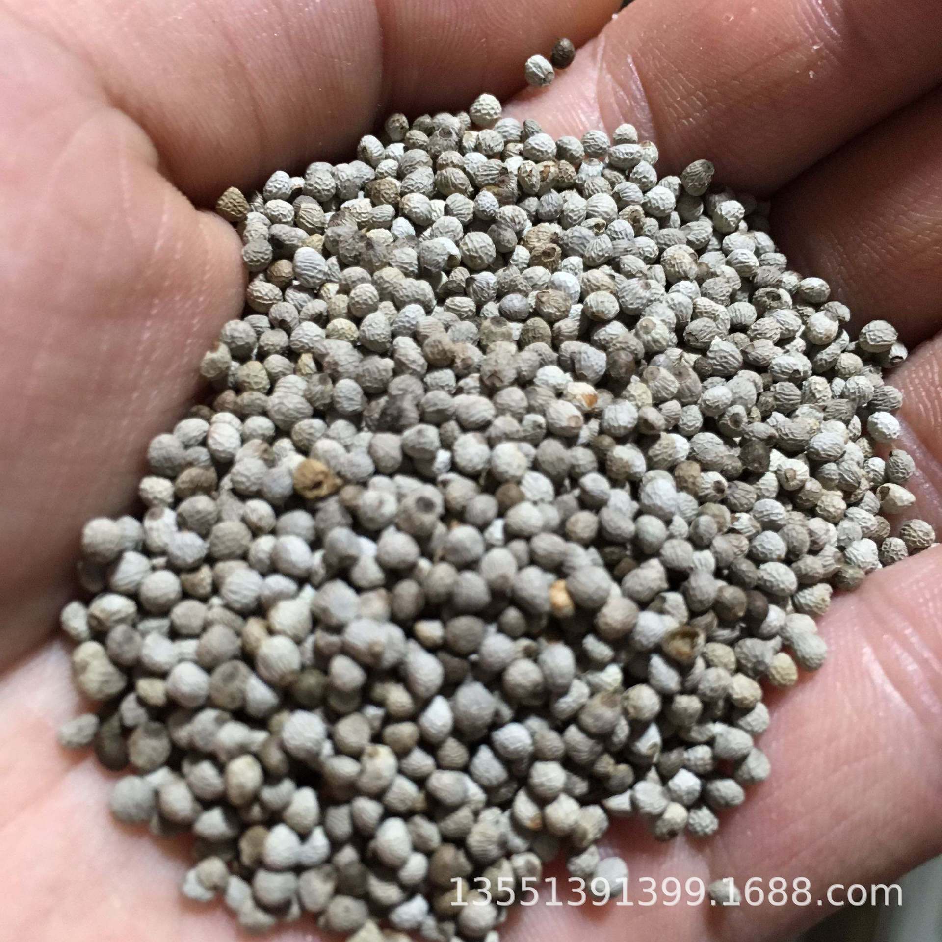 白苏麻100斤榨油 五谷杂粮 粮油 榨油 麻类 鑫禾家旺 黑苏子 苏麻