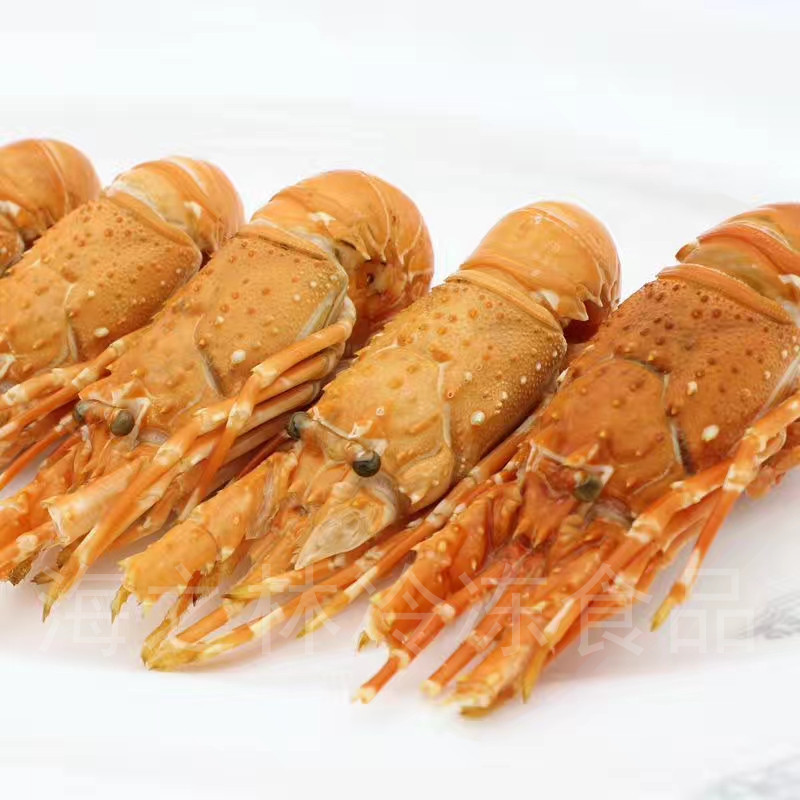 海之林熟青龙小龙虾仔印尼原装熟冻龙虾冷冻进口海鲜水产