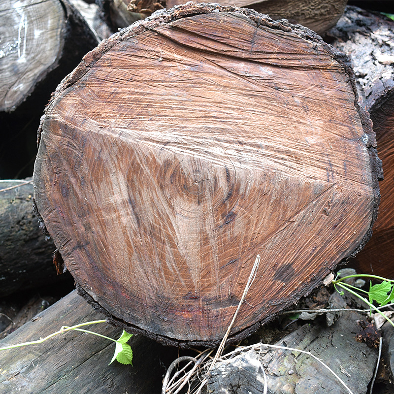 香椿木板材厂家 家具用板材高质量香椿原木 香椿木拼板 长期供应