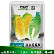 中科茂华蔬菜种子公司批发迷你金娃娃种子小型娃娃菜黄芯