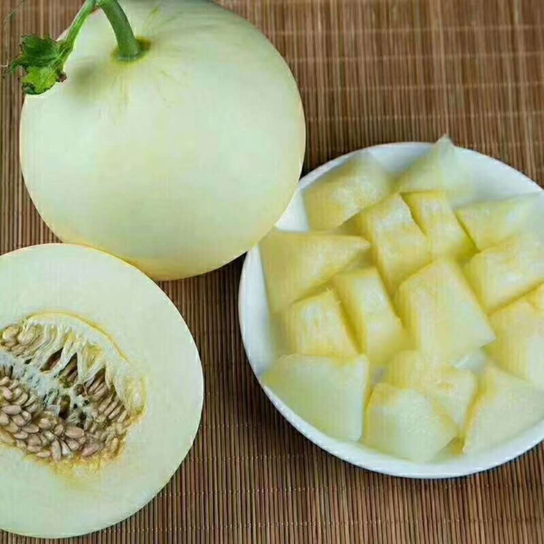 阎良白玉香 香味浓郁果肉厚实甜瓜 白皮甜瓜香瓜香甜多汁新鲜