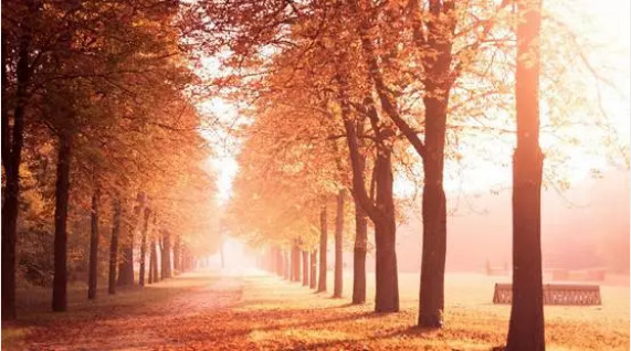 人生也需要格式化