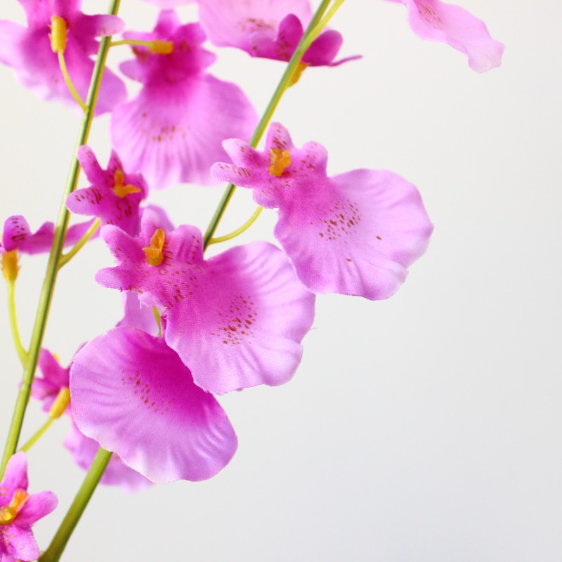 新露仿真花 3叉跳舞兰文心 新品装饰道具批发假花绢花假花兰6色选