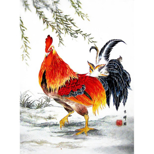 雄鸡