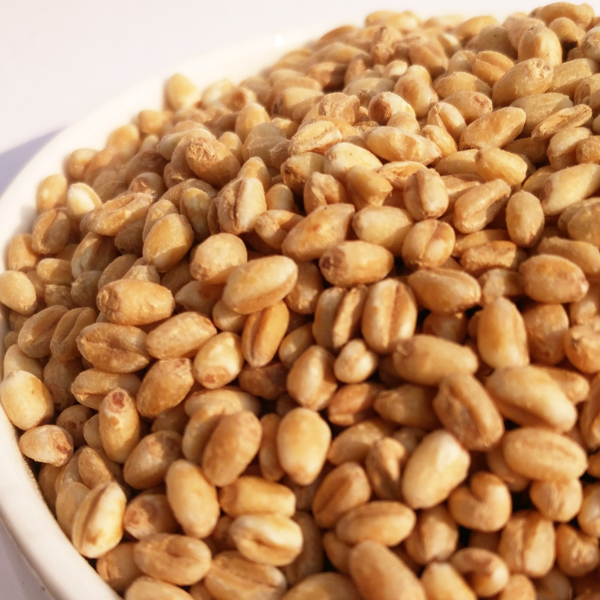 批发 低温烘焙五谷杂粮烘焙熟大麦仁 杂粮 现磨豆浆原料 磨粉专用