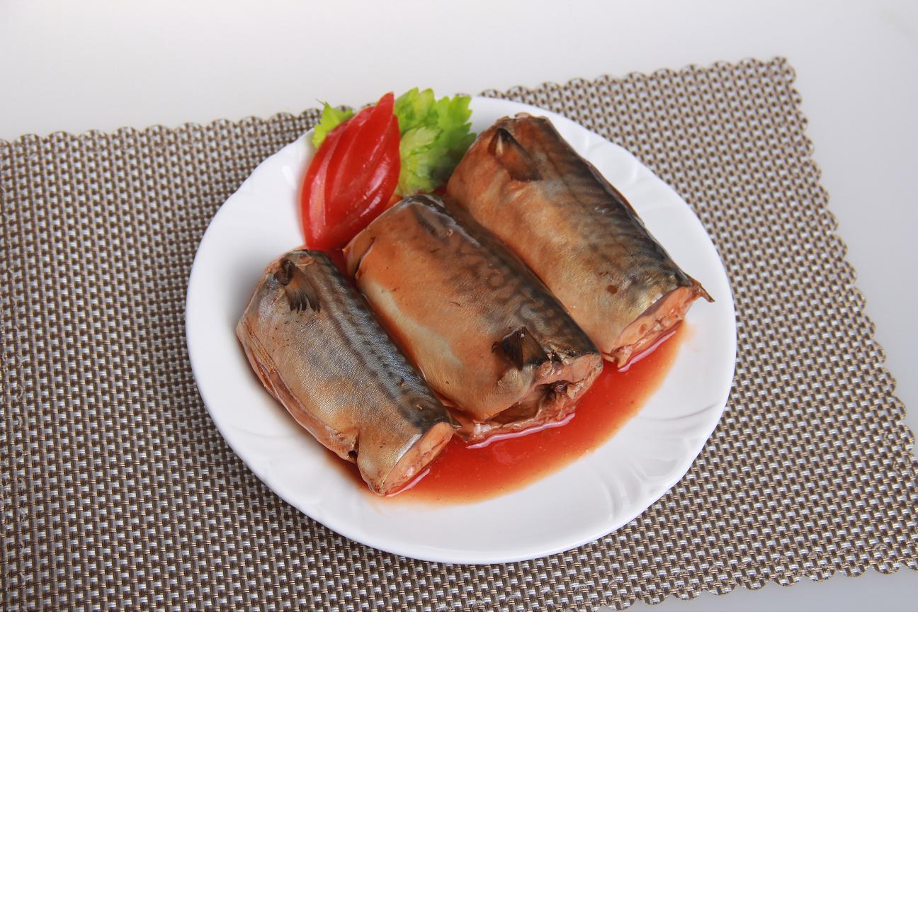 开盖即食茄汁鲭鱼罐头厂家直销水产罐头福建鱼罐头下饭菜现货批发