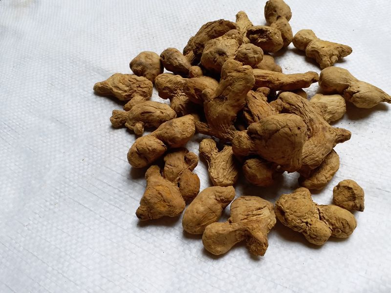 批发大货 炮姜 干姜 干姜粉 专营各种中药材粉剂 面膜粉 兽用粉