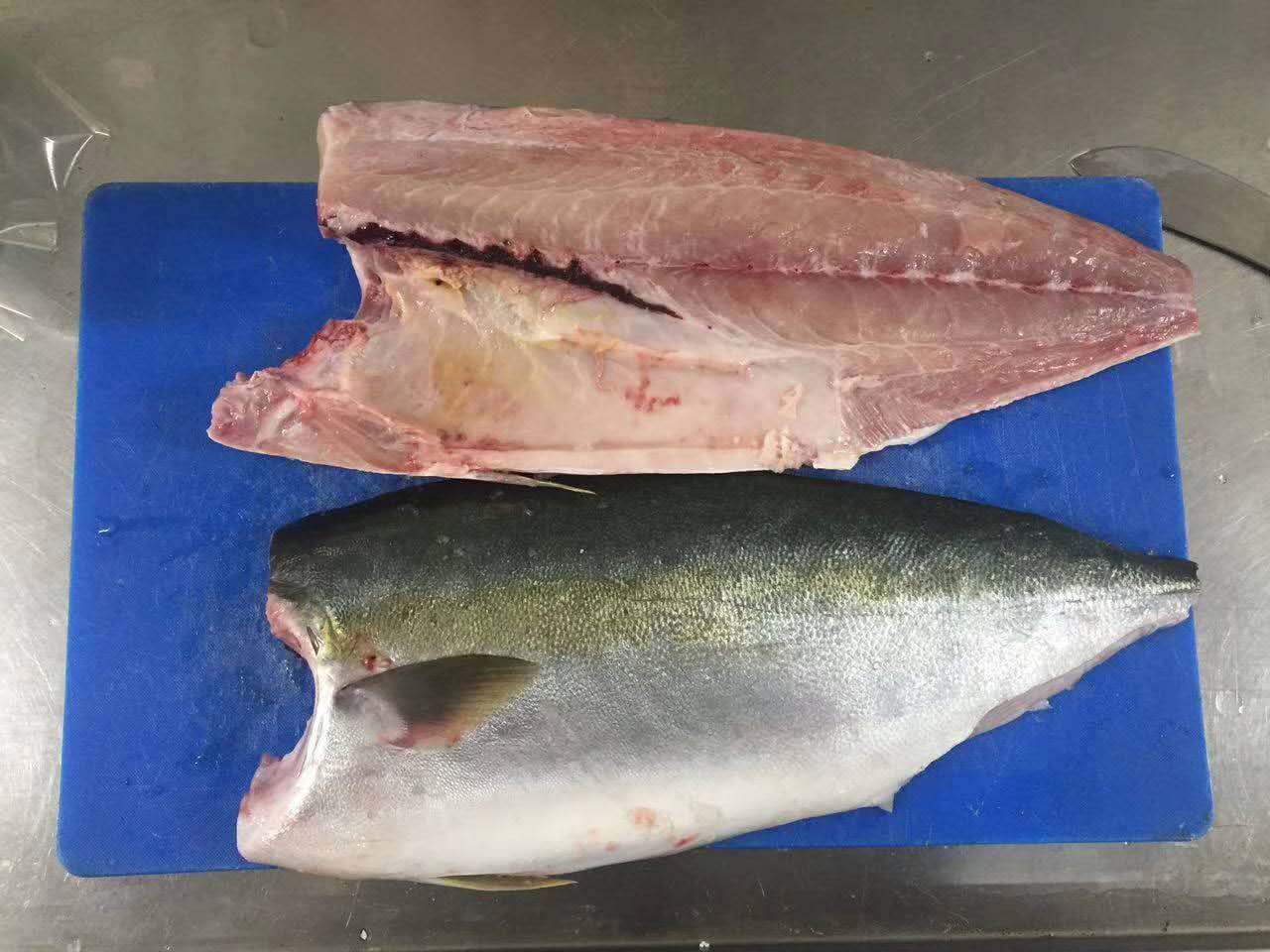 油甘鱼黄狮 青干鱼 魳鱼片刺身半边带皮去头 海鲜鱼类水产