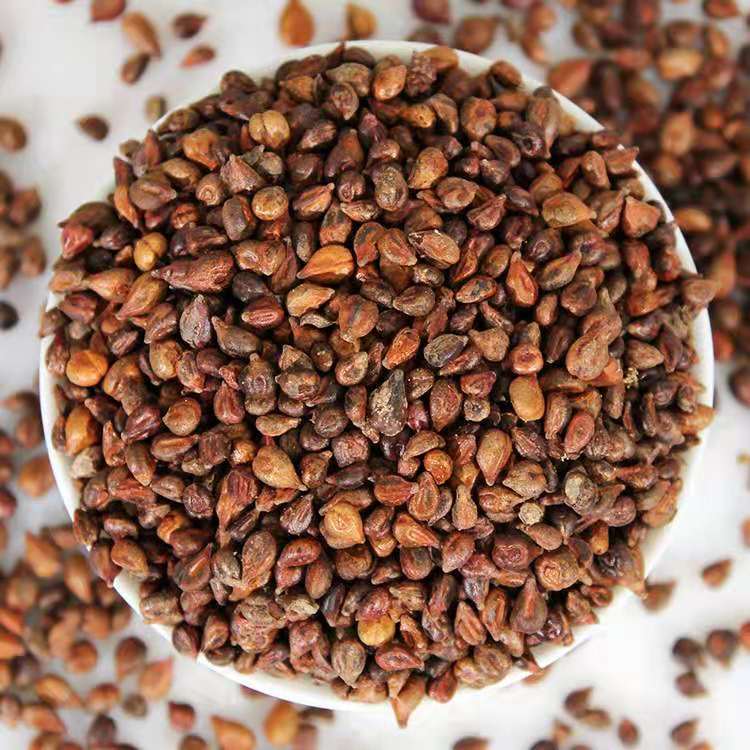 葡萄籽图片-海量高清葡萄籽图片大全 - 阿里巴巴