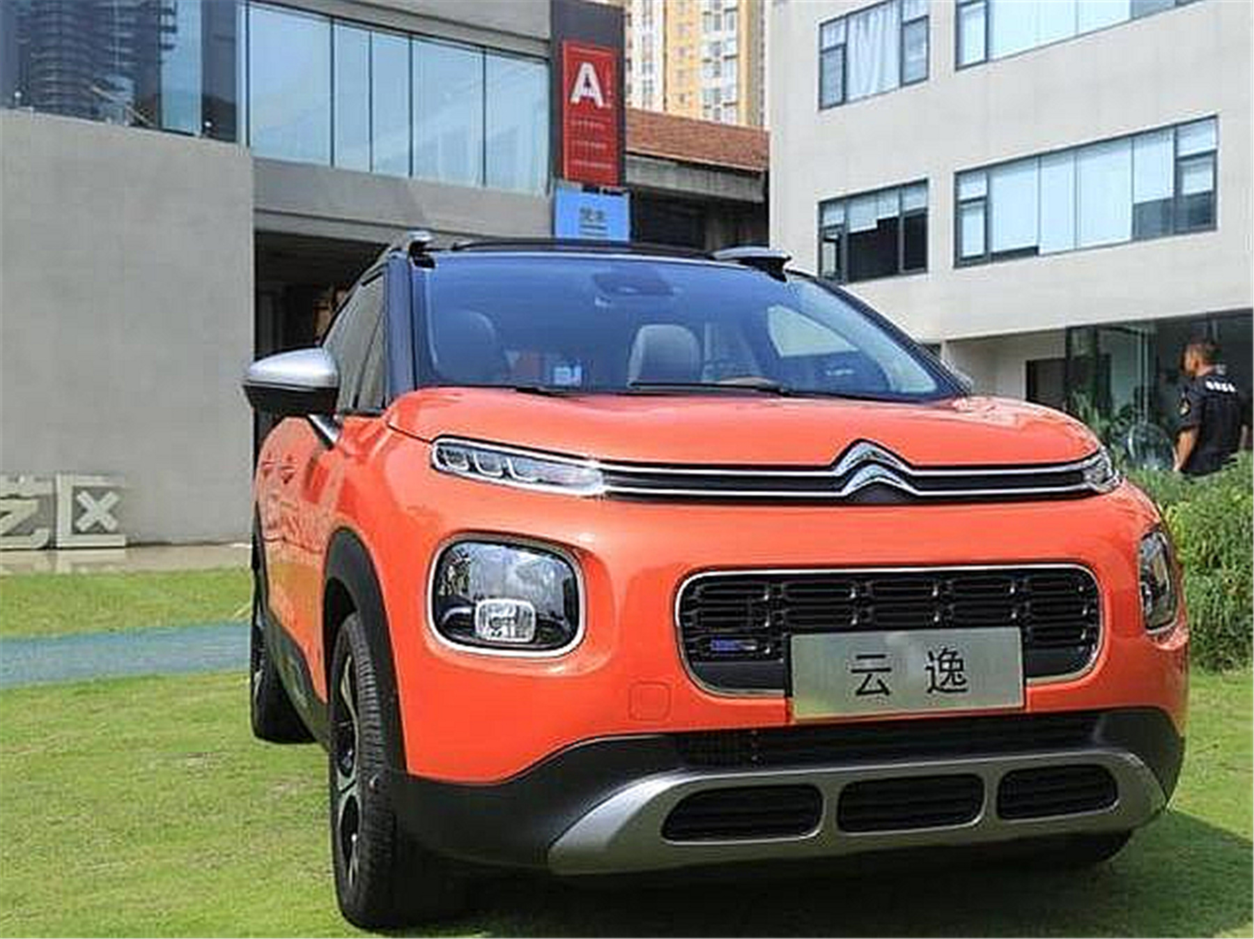 大车开的太烦躁了给家里养个法系小萌宠云逸