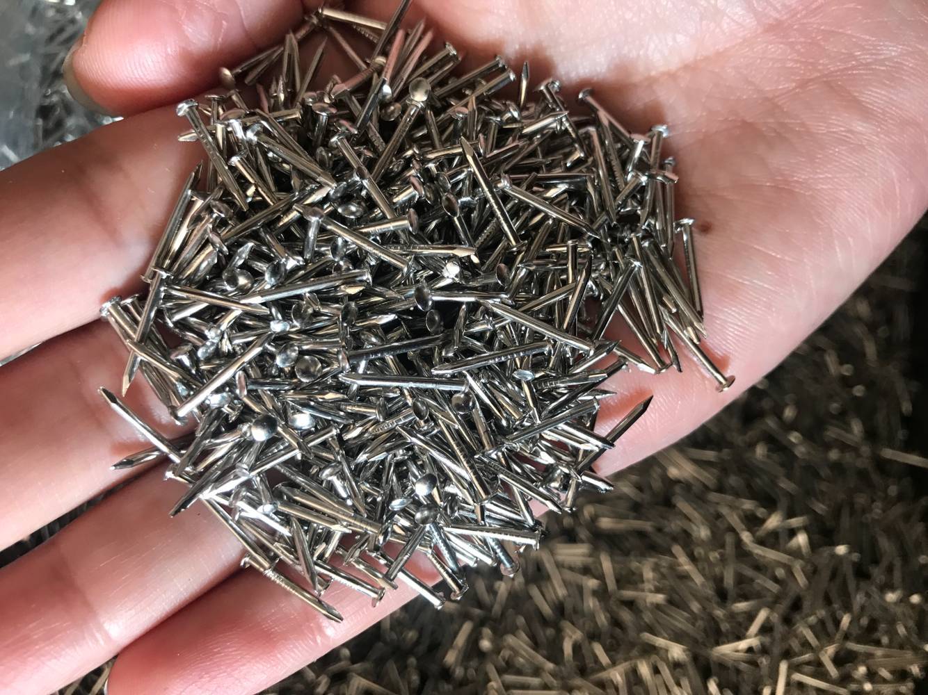 镀镍优质圆头钉木盒钉相框配件标牌小钉子家具合页镀铜钉银色