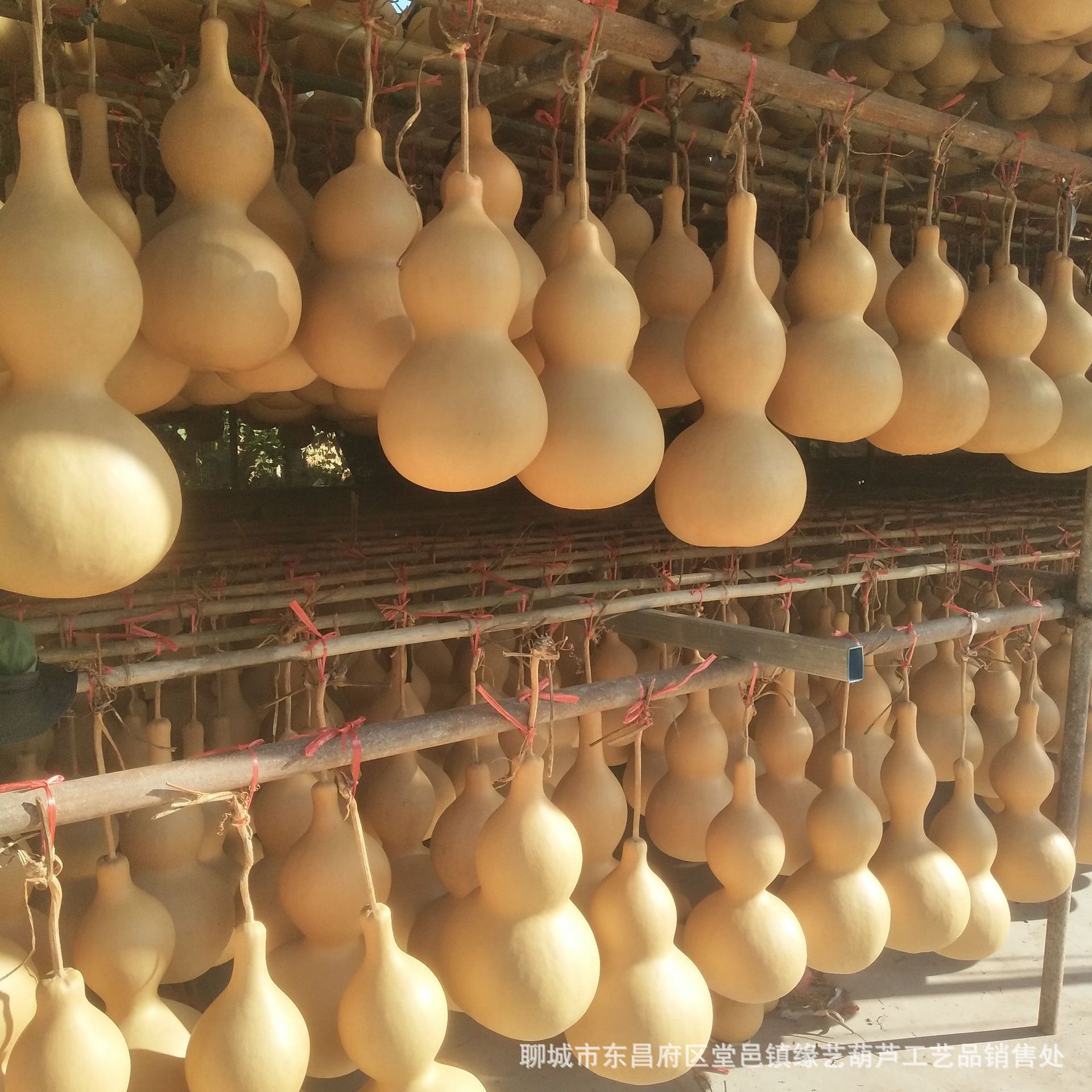 葫芦 大葫芦摆件 天然特大葫芦 烙画文玩葫芦 宝葫芦