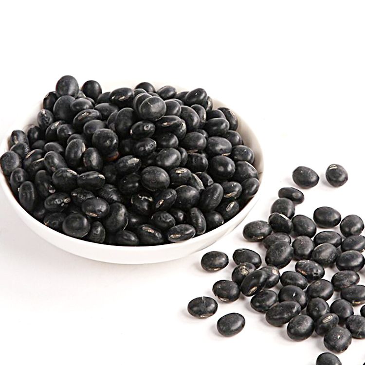 优良山东菏泽丹波黑豆青仁乌豆五谷杂粮批发散装黑豆现货