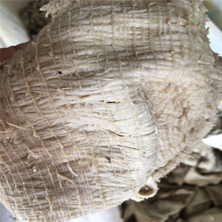 盐渍干底板牛胃毛肚净底板四川火锅冷冻食材批发全国发货