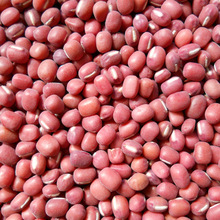 红小豆100斤/袋 宝清赤小豆【运费到付】产地货源五谷杂粮红小豆