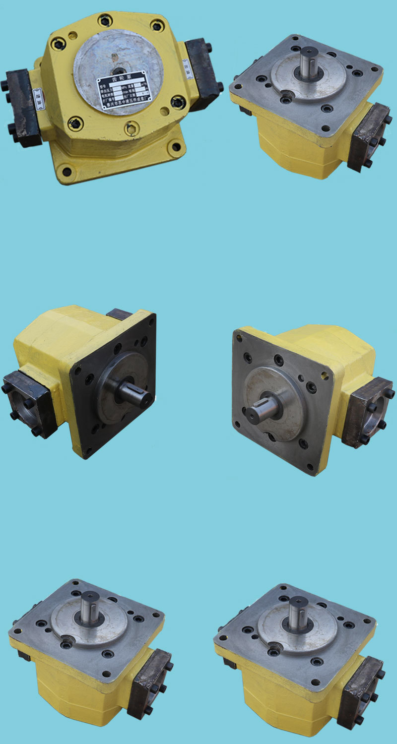 dlb-b100 125 160 dlb-bnf-b100 125 160大流量摆线润滑齿轮油泵