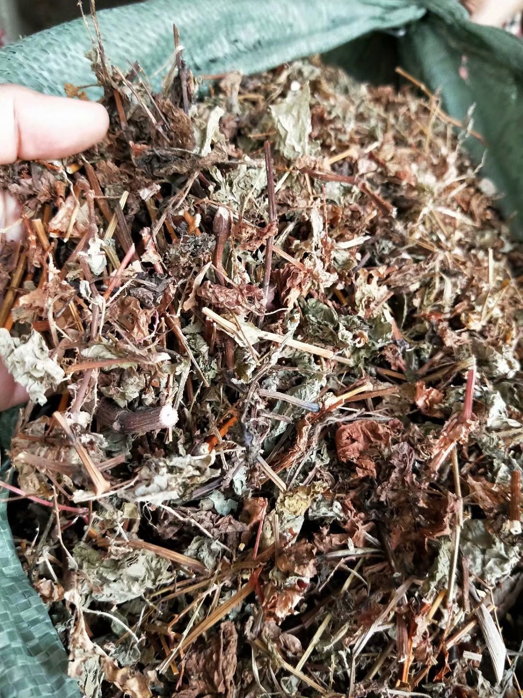 批发中药材扛板归 河白草 蛇倒退 犁头刺 每件500克