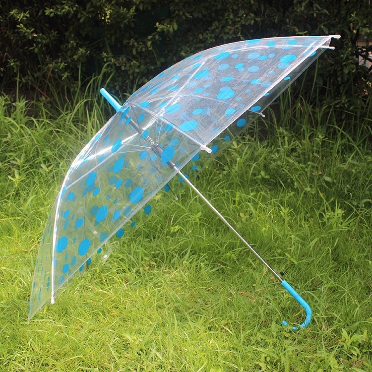 创意韩国 透明点子伞 长柄塑料伞 舞蹈伞 画图伞 广告伞