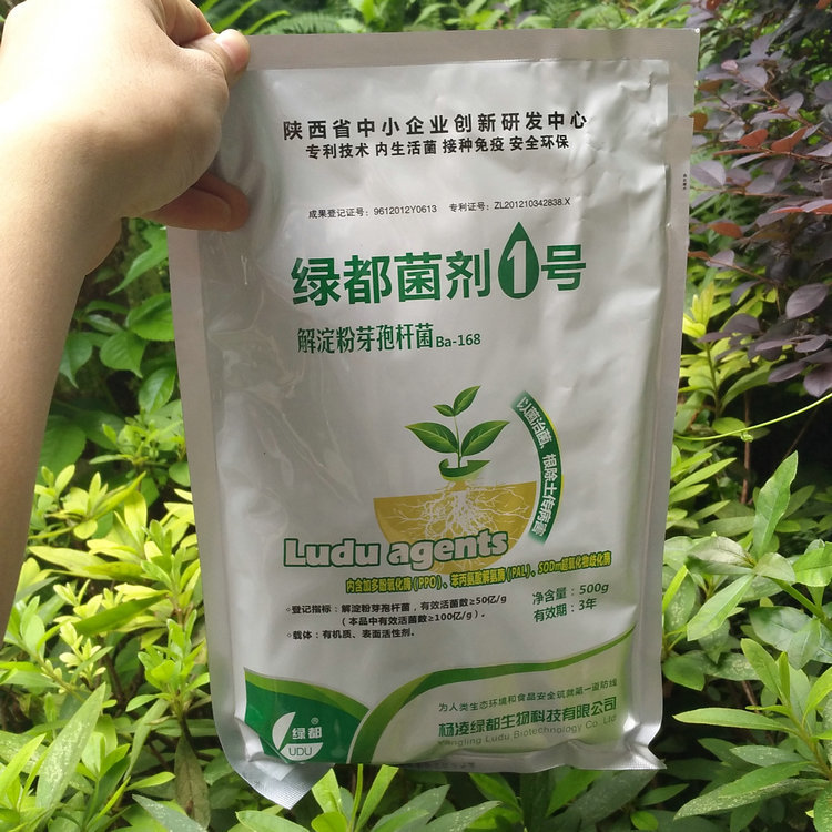 微生物菌肥 绿都菌剂1号 解淀粉芽孢杆菌 土壤杀菌剂烂根死苗青枯