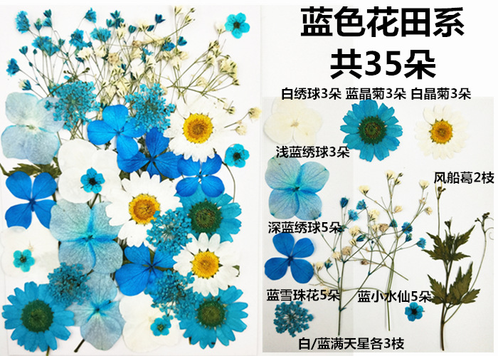 Dried Flower Embossing Material Package Embossing DIY Embossing Bookmark Epoxy Dried Flowers Phone Case Embossing Embossing Plant Specimen