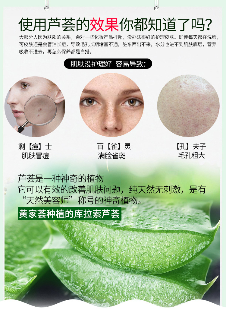 美国库拉索芦荟美容院芦荟灌肤花卉盆栽食用新鲜室内大芦荟植物