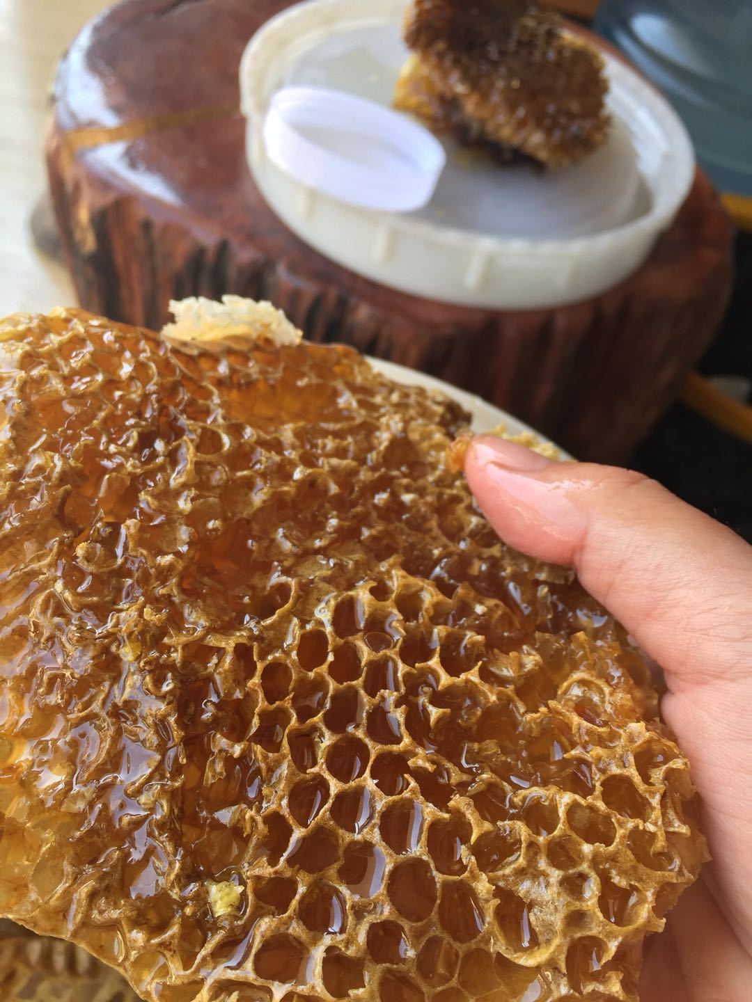 云南野生土蜂蜜 大排峰老巢岩蜂带蜂巢西双版纳天然17年春蜜批发