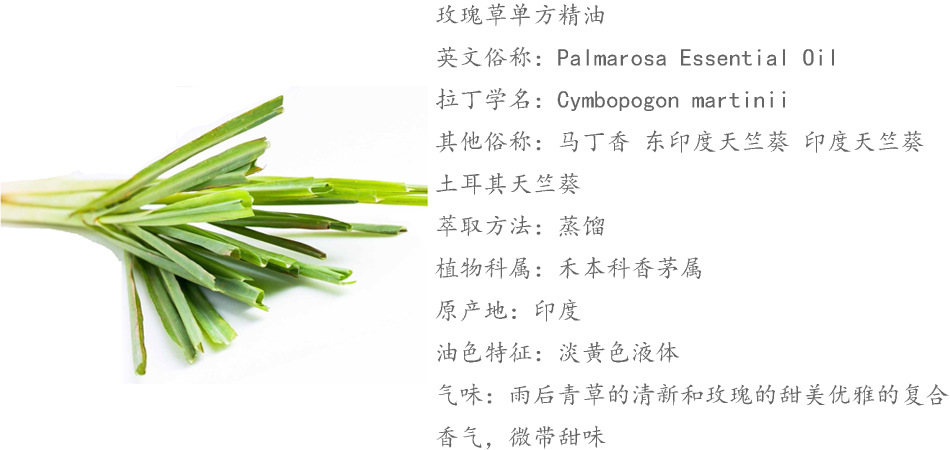 玫瑰草精油 印度天竺葵单方精油供应商10ml起订