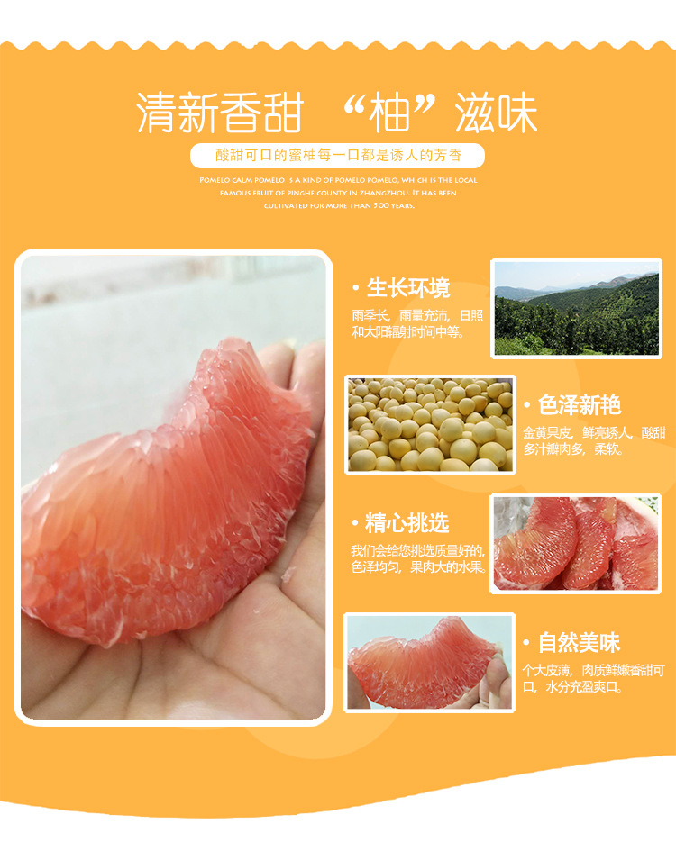 供应 红心柚子福建平和琯溪红肉蜜柚2粒5斤盒装当季水果皮薄.